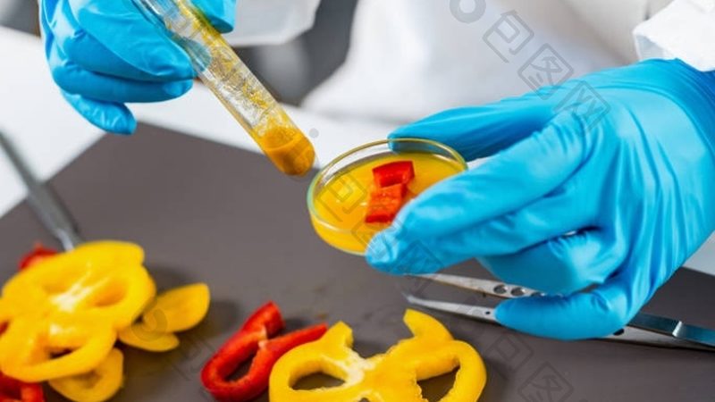 预制菜与料理包：一脉相承，各有所长